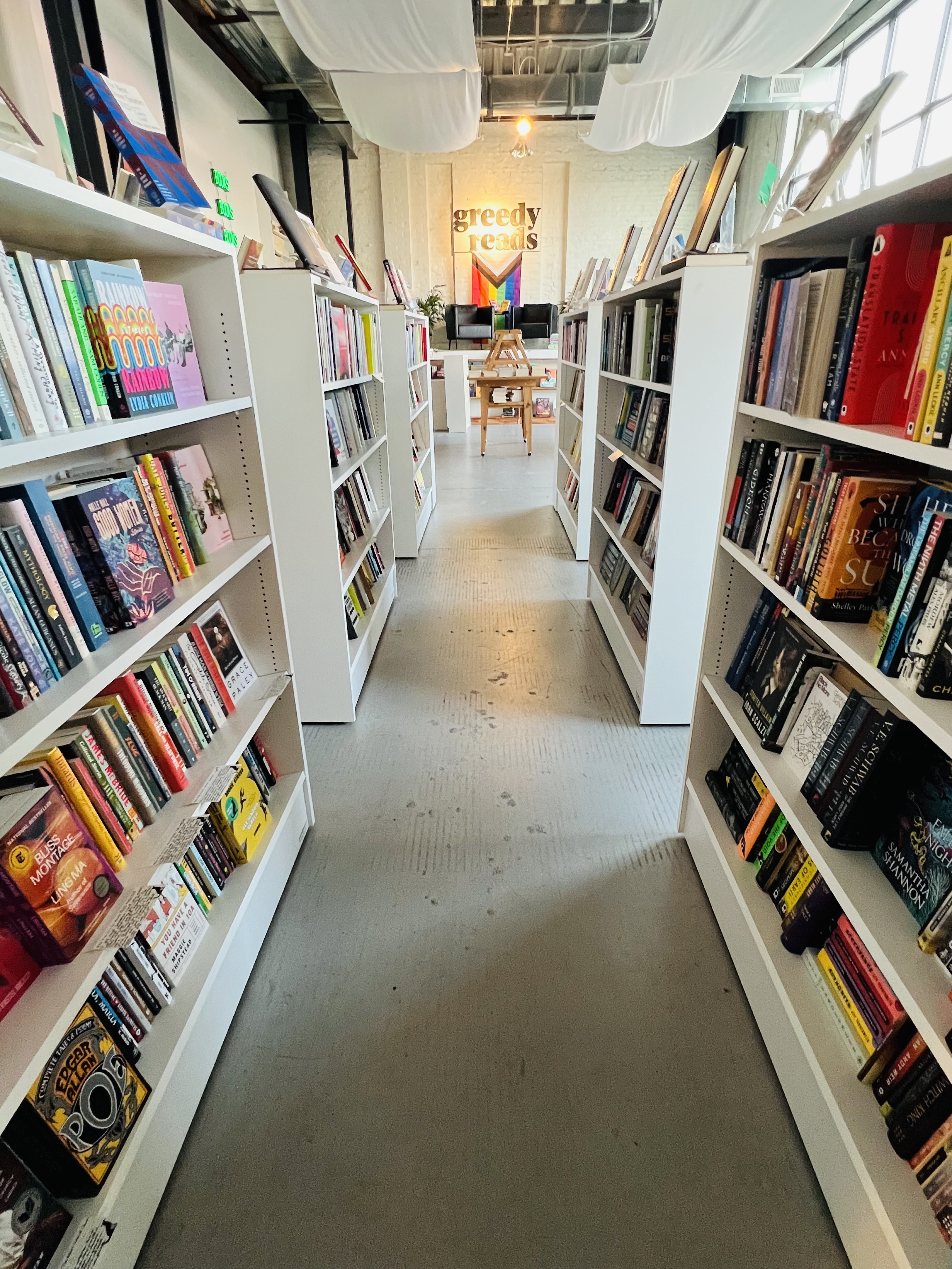 Greedy Reads bookstore's interior between two bookshelves