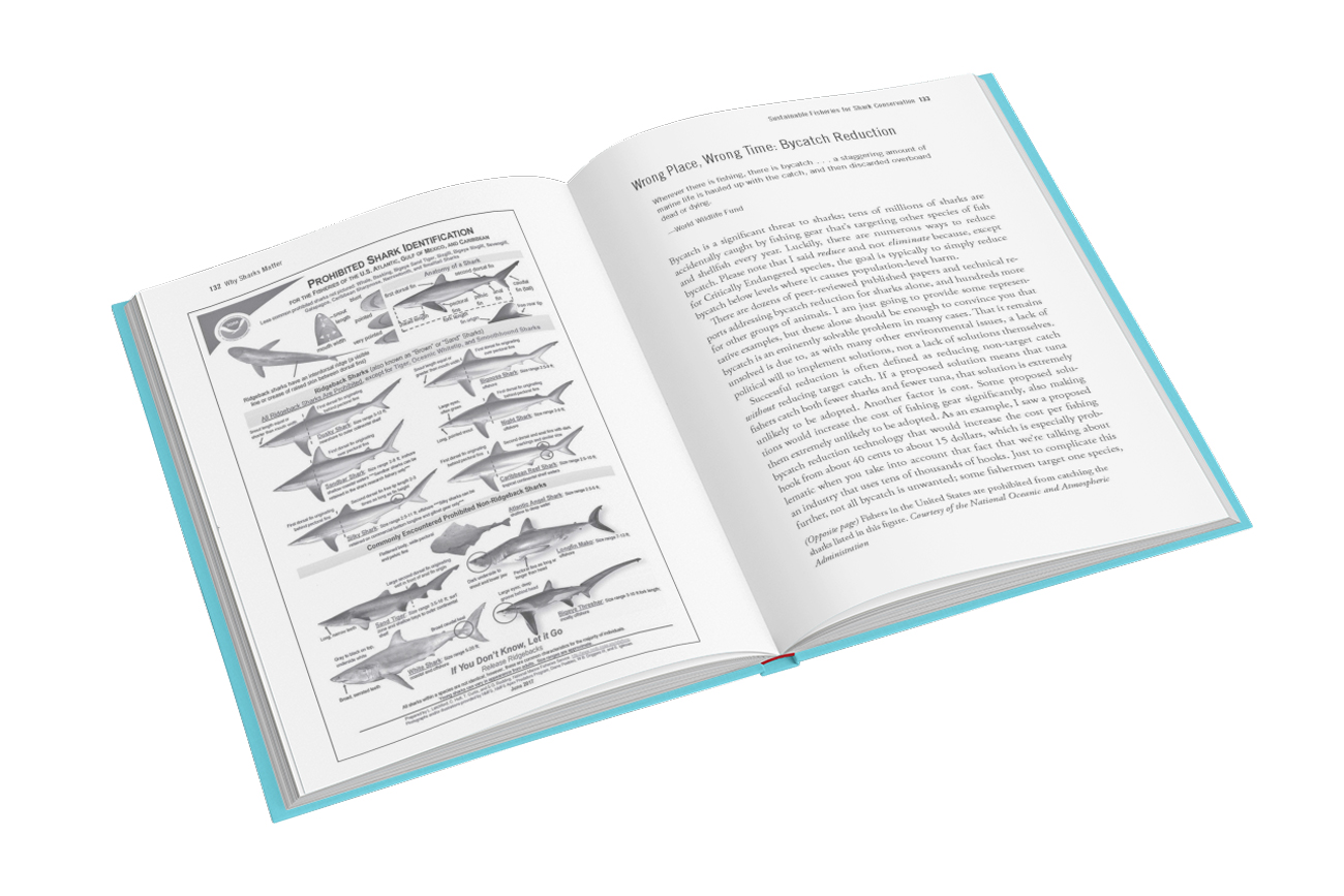 page spread in Why Sharks Matter