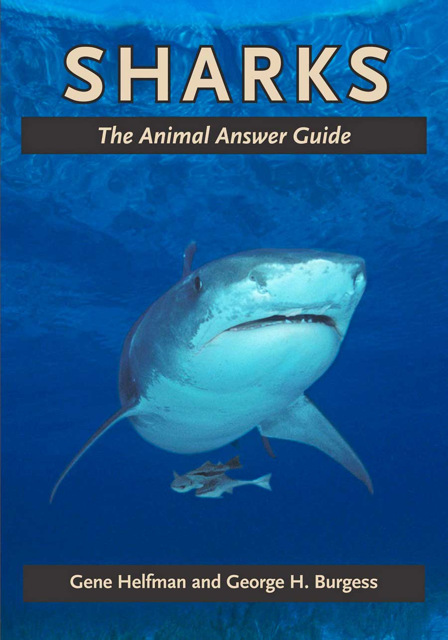 Book cover for Sharks