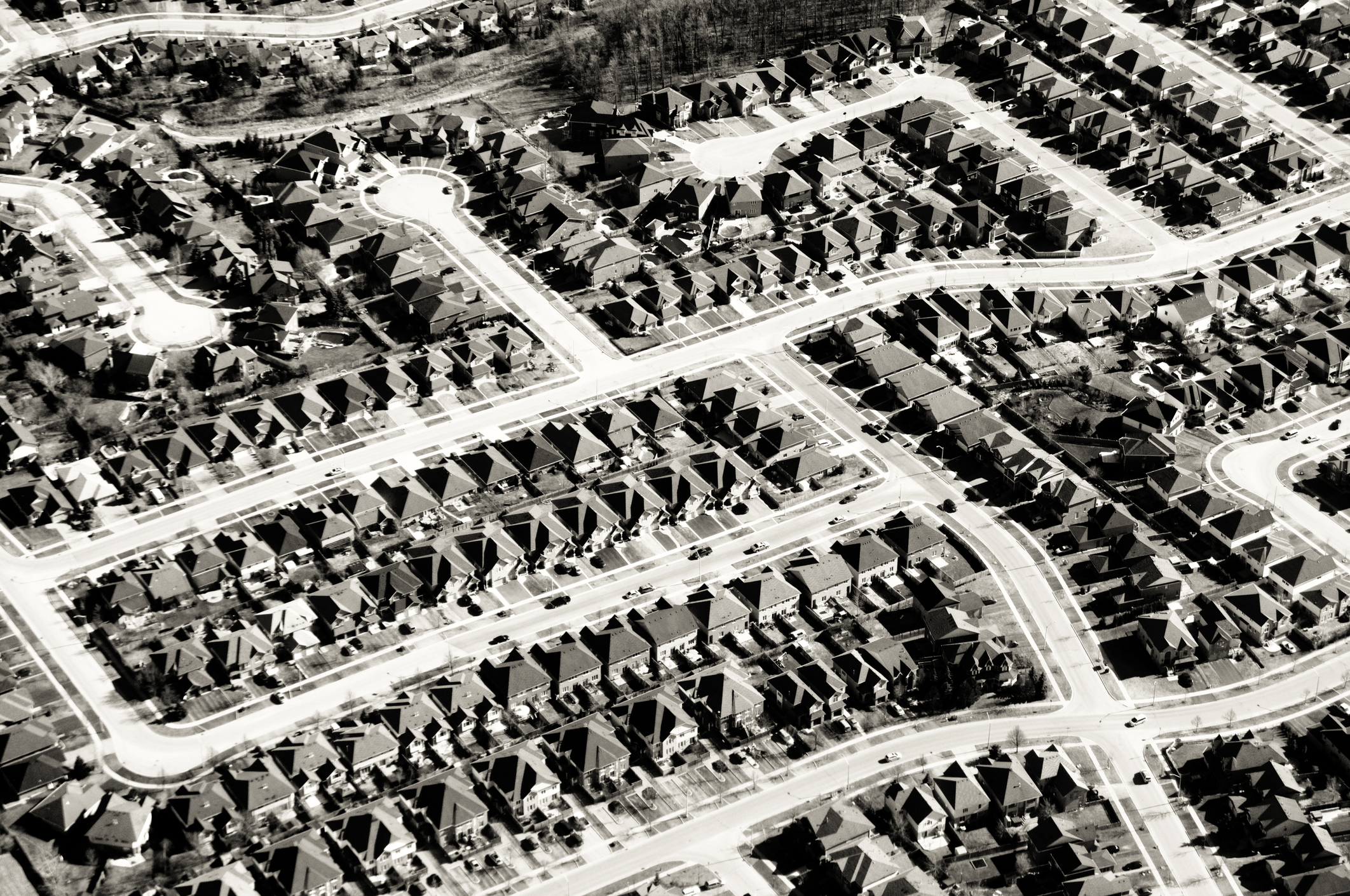 Neighborhood of Fear: The Suburban Crisis in American Culture | Hopkins  Press