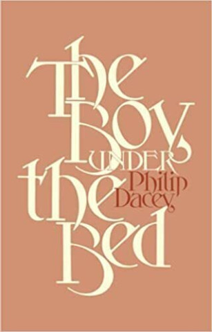 Cover image of The Boy under the Bed