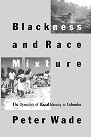 Cover image of Blackness and Race Mixture