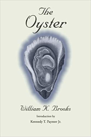 Cover image of The Oyster