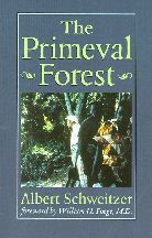 Cover image of The Primeval Forest