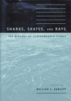 Cover image of Sharks, Skates, and Rays