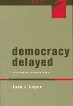 Cover image of Democracy Delayed