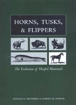 Cover image of Horns, Tusks, and Flippers