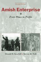 Cover image of Amish Enterprise