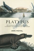 Cover image of Platypus