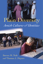 Cover image of Plain Diversity