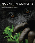 Cover image of Mountain Gorillas