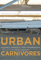 Cover image of Urban Carnivores