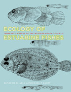 Cover image of Ecology of Estuarine Fishes