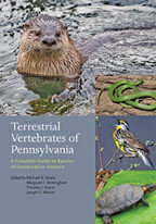 Cover image of Terrestrial Vertebrates of Pennsylvania