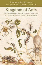 Cover image of Kingdom of Ants