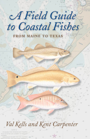 Cover image of A Field Guide to Coastal Fishes