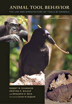 Cover image of Animal Tool Behavior