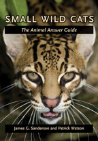 Cover image of Small Wild Cats