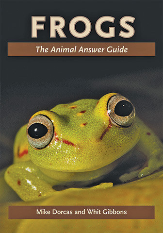 Cover image of Frogs