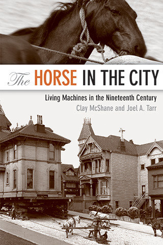 Cover image of The Horse in the City