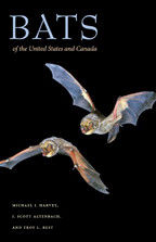 Cover image of Bats of the United States and Canada