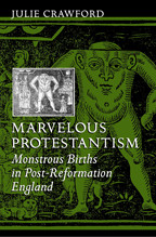 Cover image of Marvelous Protestantism