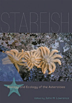 Cover image of Starfish