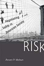 Cover image of Risk