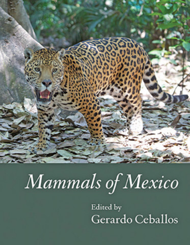 Cover image of Mammals of Mexico