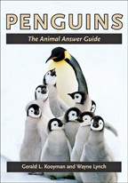 Cover image of Penguins