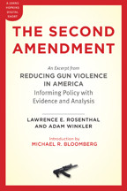 Cover image of The Second Amendment