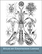 Cover image of Atlas of Crustacean Larvae