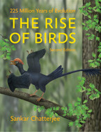 Cover image of The Rise of Birds