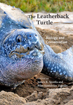 Cover image of The Leatherback Turtle