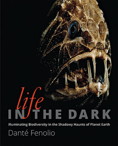 Cover image of Life in the Dark