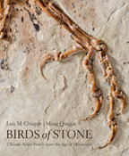 Cover image of Birds of Stone