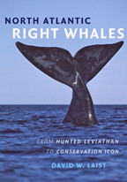 Cover image of North Atlantic Right Whales