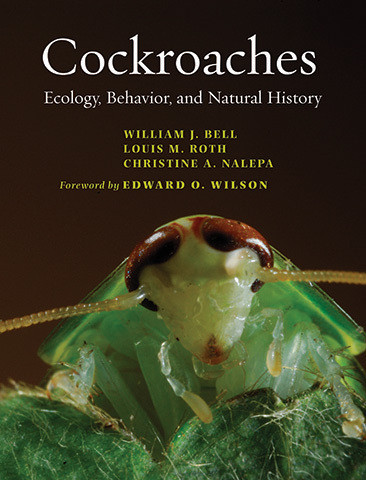 Cover image of Cockroaches