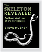 Cover image of The Skeleton Revealed