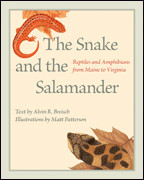 Cover image of The Snake and the Salamander