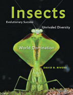 Cover image of Insects