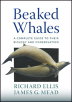 Cover image of Beaked Whales