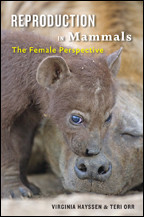 Cover image of Reproduction in Mammals