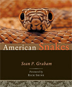 Cover image of American Snakes