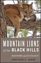 Cover image of Mountain Lions of the Black Hills