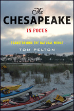 Cover image of The Chesapeake in Focus