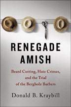 Cover image of Renegade Amish