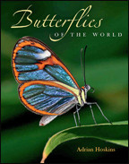 Cover image of Butterflies of the World