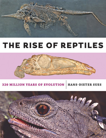 Cover image of The Rise of Reptiles