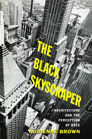 Cover image of The Black Skyscraper